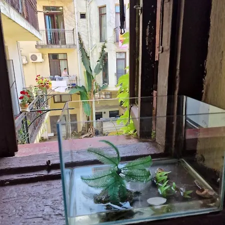 Apartment In Batumi Zewnętrze zdjęcie