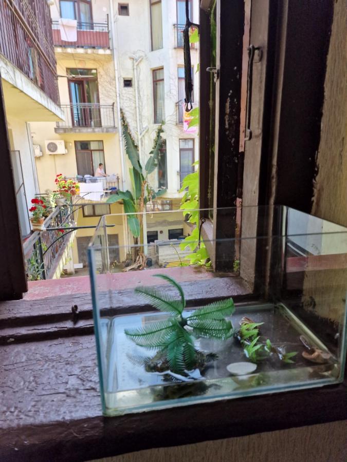 In Apartament